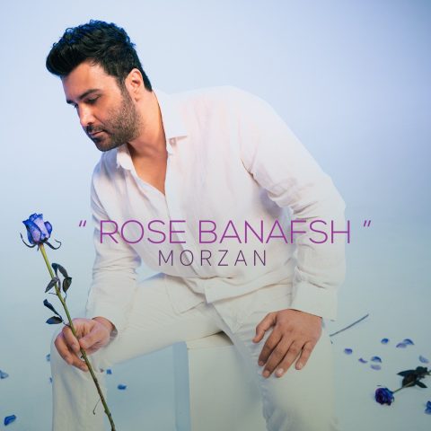 دانلود آهنگ مرضان رز بنفش